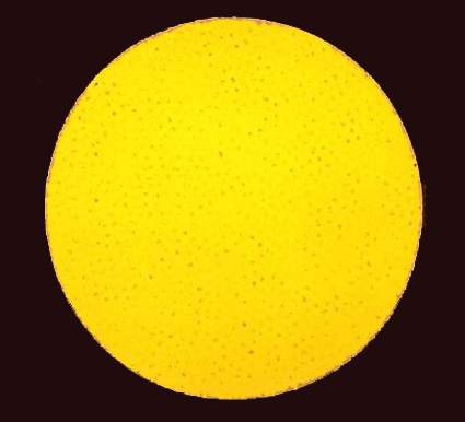 Untitled (yellow circle) 1997 (Copyright Noel Forster 2000)