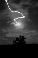 Night moon trace (copyright Jack Fulton 1999)