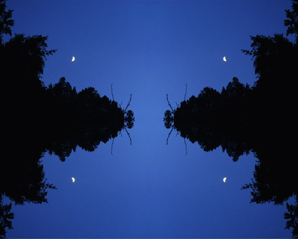 'Moon & Trees' © Copyright Jack Fulton 2004